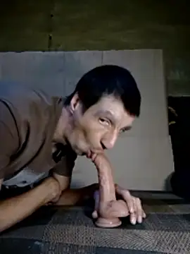 N i k o l a u online show from February 2026 01:44:01 PM