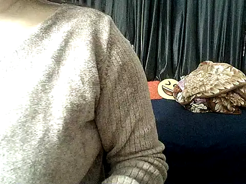 Anaconda-Mall online show from December 2025 07:02:02 PM