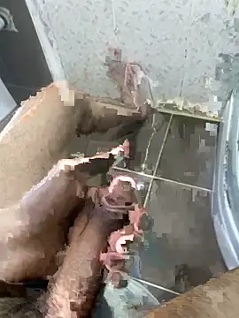 BatchedTracer online show from April 2026 10:49:02 PM