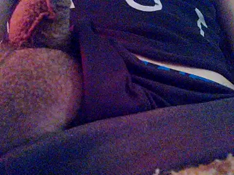 PenerPanShibari online show from November 2025 04:11:02 PM