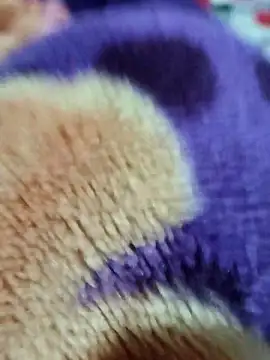 sana-5 online show from March 2026 03:19:02 PM