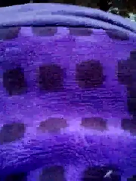 sana-5 online show from January 2026 10:33:02 AM