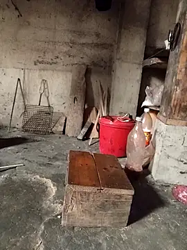 TinTin321 online show from March 2026 05:25:02 AM