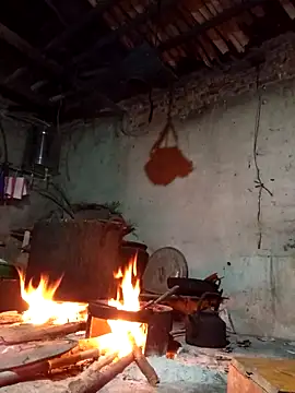 TinTin321 online show from October 2025 11:42:02 AM