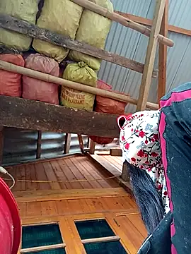 TinTin321 online show from October 2025 02:32:02 AM