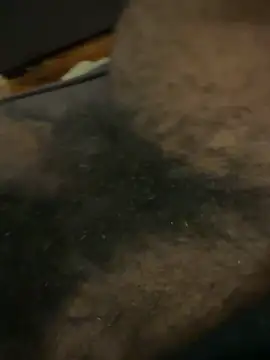 BigBDMari online show from February 2026 02:29:01 AM