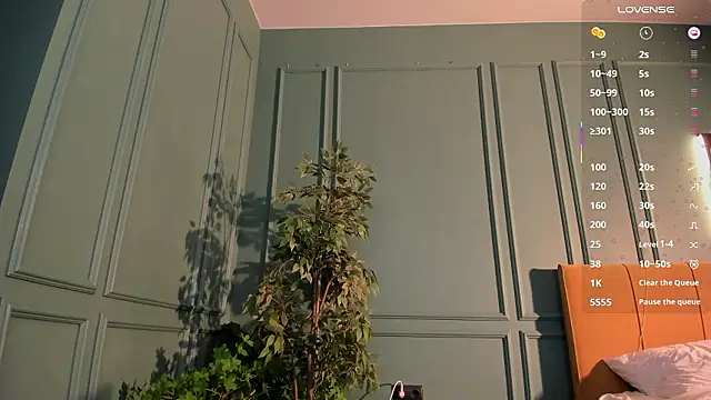 amy doessss online show from February 2026 06:04:02 PM