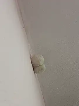 saranghae  online show from February 2026 03:39:02 AM