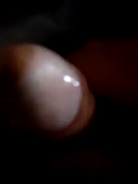 ratoncito 3 online show from November 2025 10:42:01 PM