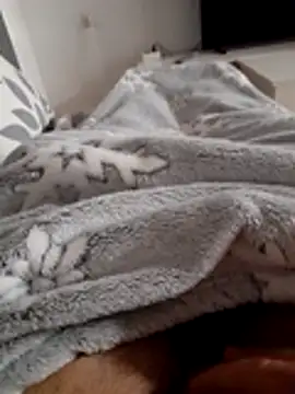 ratoncito 3 online show from November 2025 12:59:01 AM