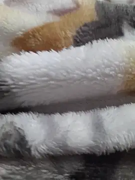 ratoncito 3 online show from February 2026 05:24:02 PM