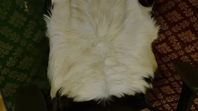 JUSTFORRICH online show from April 2026 03:46:01 PM