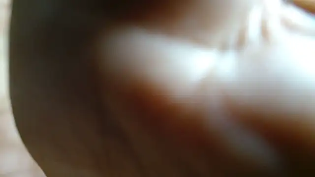 JUSTFORRICH online show from June 2026 11:00:02 PM