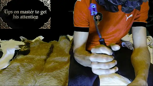 JUSTFORRICH online show from January 2026 03:10:01 AM