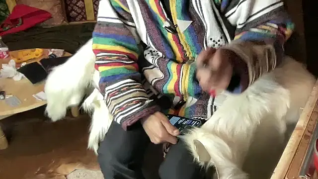 JUSTFORRICH online show from December 2025 02:44:01 AM