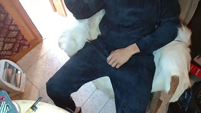 JUSTFORRICH online show from January 2026 02:11:02 PM