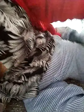 zerdaliii online show from November 2025 05:55:01 AM