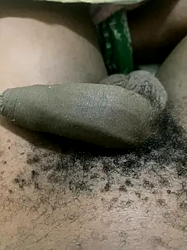 Snapshot of midravelta chatting on September 2025 08:47:01 PM midravelta online show from September 2025 08:47:01 PM