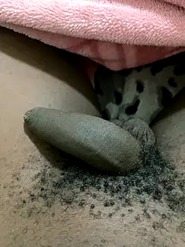 Snapshot of midravelta chatting on September 2025 07:43:02 PM midravelta online show from September 2025 07:43:02 PM