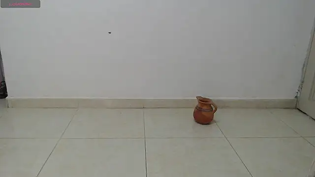 Snapshot of sofiasims chatting on February 2026 02:10:02 AM sofiasims online show from February 2026 02:10:02 AM