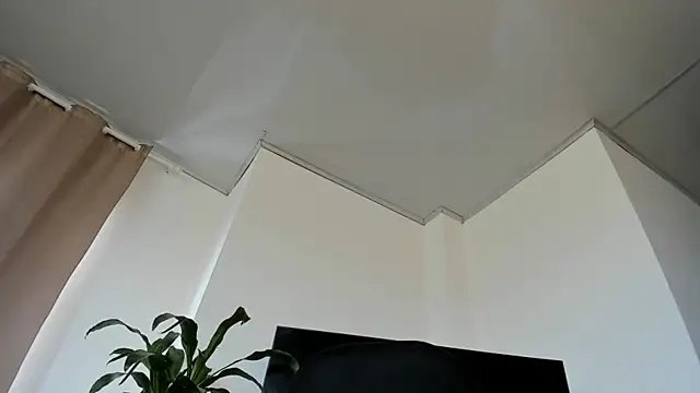 Bastian MCcormick online show from March 2026 01:23:02 PM