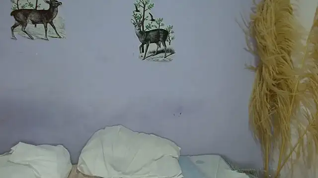 chica sexy05 online show from February 2026 08:15:01 PM