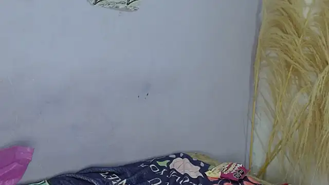 chica sexy05 online show from January 2026 08:07:01 PM