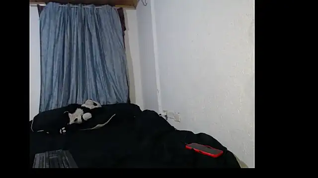 Snapshot of Ruby_zs chatting on October 2025 03:41:01 AM Ruby zs online show from October 2025 03:41:01 AM