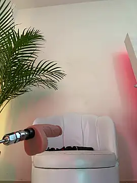 Ariana2017 online show from April 2026 02:51:01 AM