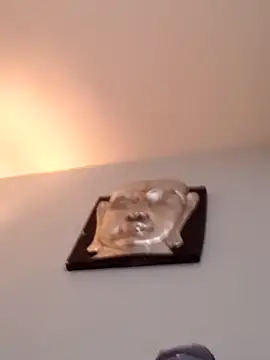 djcarey369159 online show from April 2026 09:10:01 PM