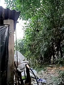 Snapshot of Hotty-rosni chatting on November 2025 02:48:01 AM Hotty-rosni online show from November 2025 02:48:01 AM