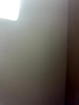 Emilyybennet  online show from November 2025 08:29:02 AM