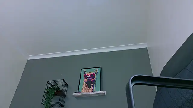 MrFox   online show from March 2026 07:29:01 PM