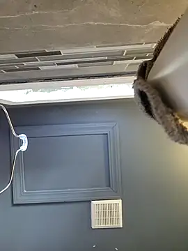 chocolate bella online show from March 2026 12:50:02 PM