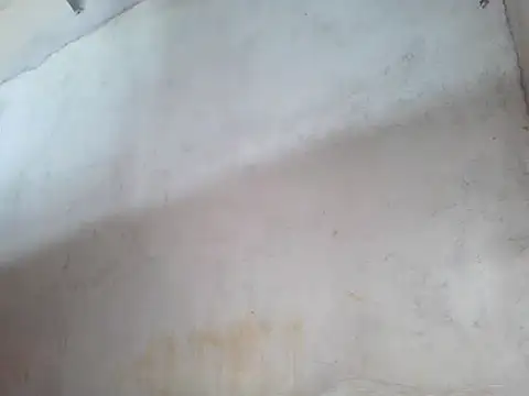 star ass online show from October 2025 11:51:02 PM