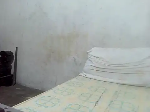 star ass online show from February 2026 12:38:01 PM