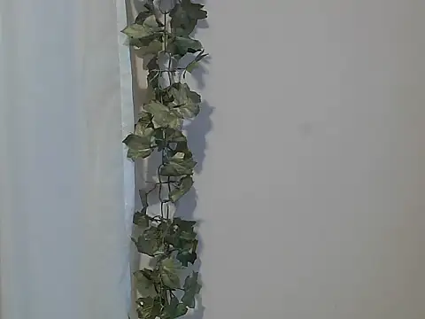 Snapshot of angelainparis28 chatting on November 2025 04:57:02 AM angelainparis28 online show from November 2025 04:57:02 AM