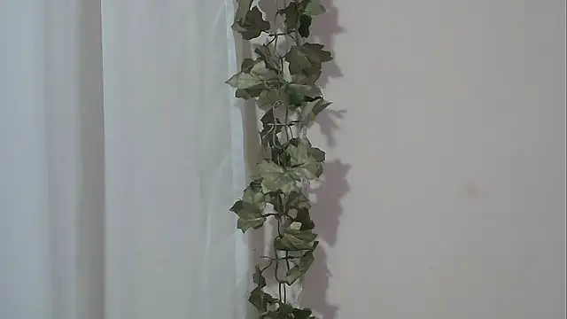 Snapshot of angelainparis28 chatting on November 2025 04:57:02 AM angelainparis28 online show from November 2025 04:57:02 AM