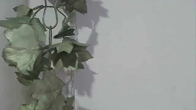 Snapshot of angelainparis28 chatting on November 2025 08:24:01 PM angelainparis28 online show from November 2025 08:24:01 PM