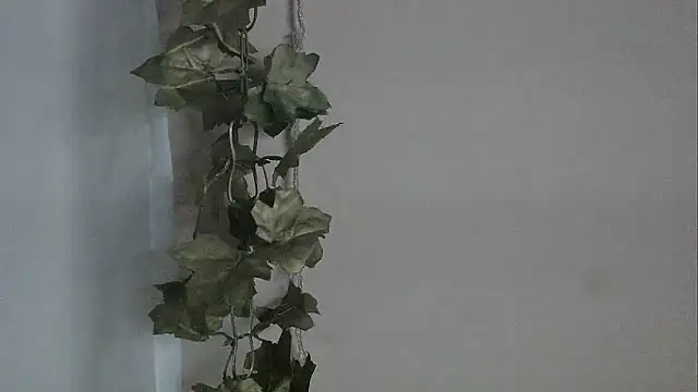 Snapshot of angelainparis28 chatting on December 2025 05:09:02 AM angelainparis28 online show from December 2025 05:09:02 AM