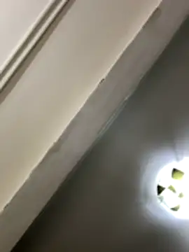 Snapshot of lynn9000 chatting on November 2025 09:09:01 AM lynn9000 online show from November 2025 09:09:01 AM