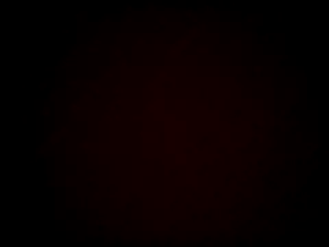 Snapshot of SparklesB1tch chatting on October 2025 06:49:02 PM SparklesB1tch online show from October 2025 06:49:02 PM