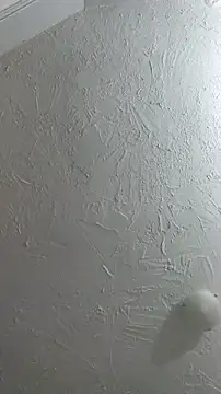 Bulbasaurisme online show from September 2025 01:23:02 AM