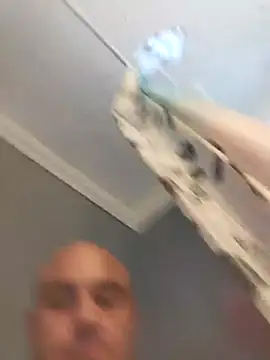 Bulbasaurisme online show from September 2025 11:30:01 AM