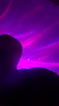 Bulbasaurisme online show from November 2025 07:40:01 AM