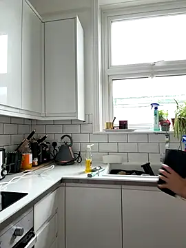 Snapshot of AlitaNova chatting on September 2025 10:44:01 AM AlitaNova online show from September 2025 10:44:01 AM