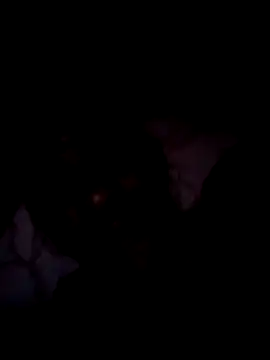 Steehood online show from January 2026 05:47:01 AM