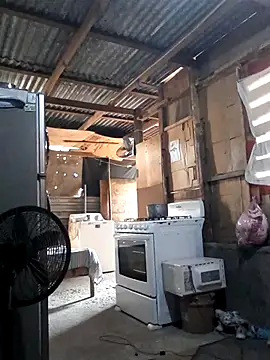 Steehood online show from November 2025 02:51:02 PM