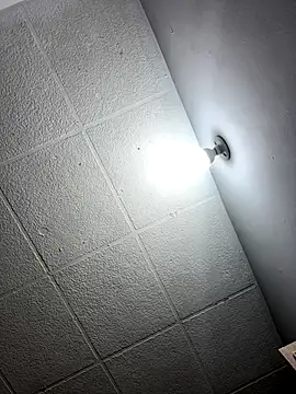 Snapshot of LICEET chatting on November 2025 11:47:02 PM LICEET online show from November 2025 11:47:02 PM