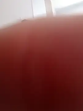 Gusttavotesudoxxvvc online show from November 2025 03:02:01 PM